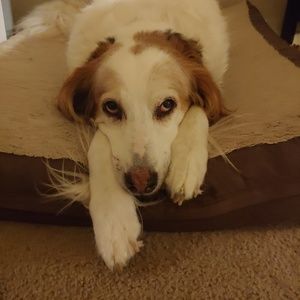 Meet your Posher, Jane